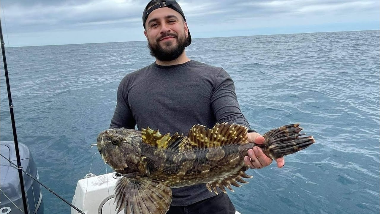 MONSTER Cabezon & Cowcod - Catalina Island Fishing