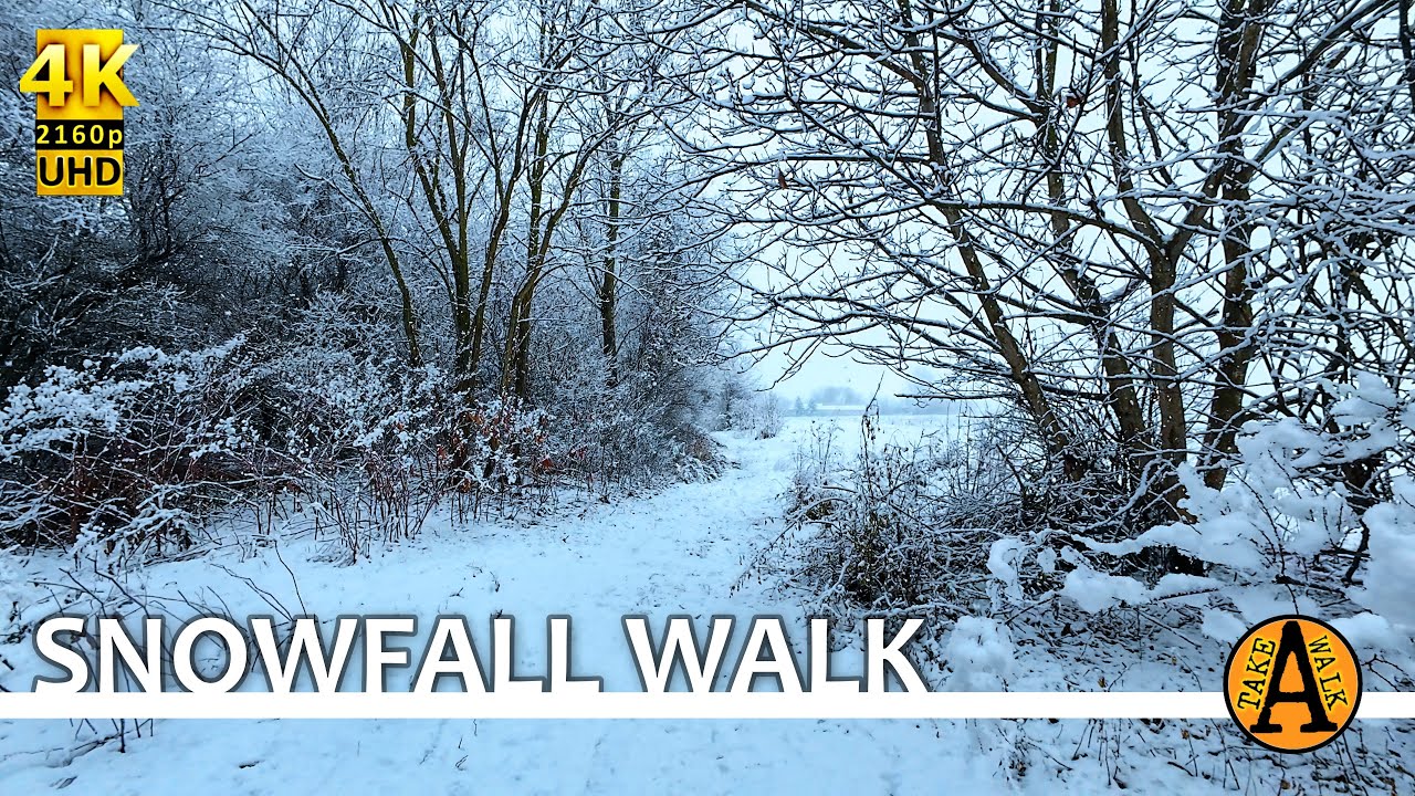 Relaxing Snowfall Walk - Ambience Sounds - Eastern Europe - ASMR - 4K UHD