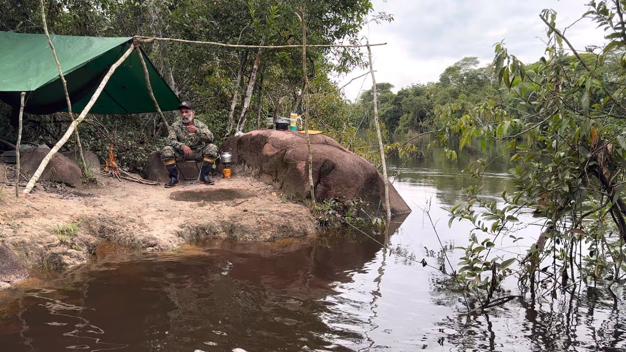 🏕️fiz uma boa aventura na beira do rio os peixes estão muito arisco mas registei vários passarinhos