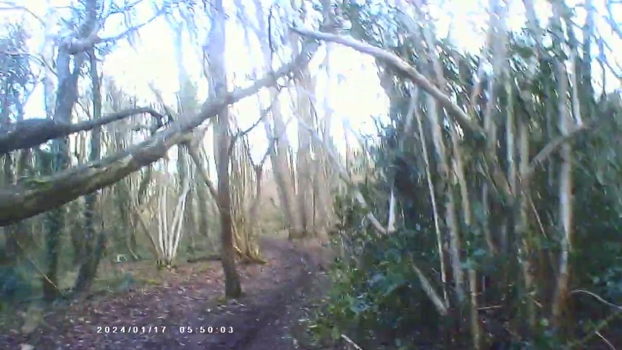 sniff that s41t offroading part 2
