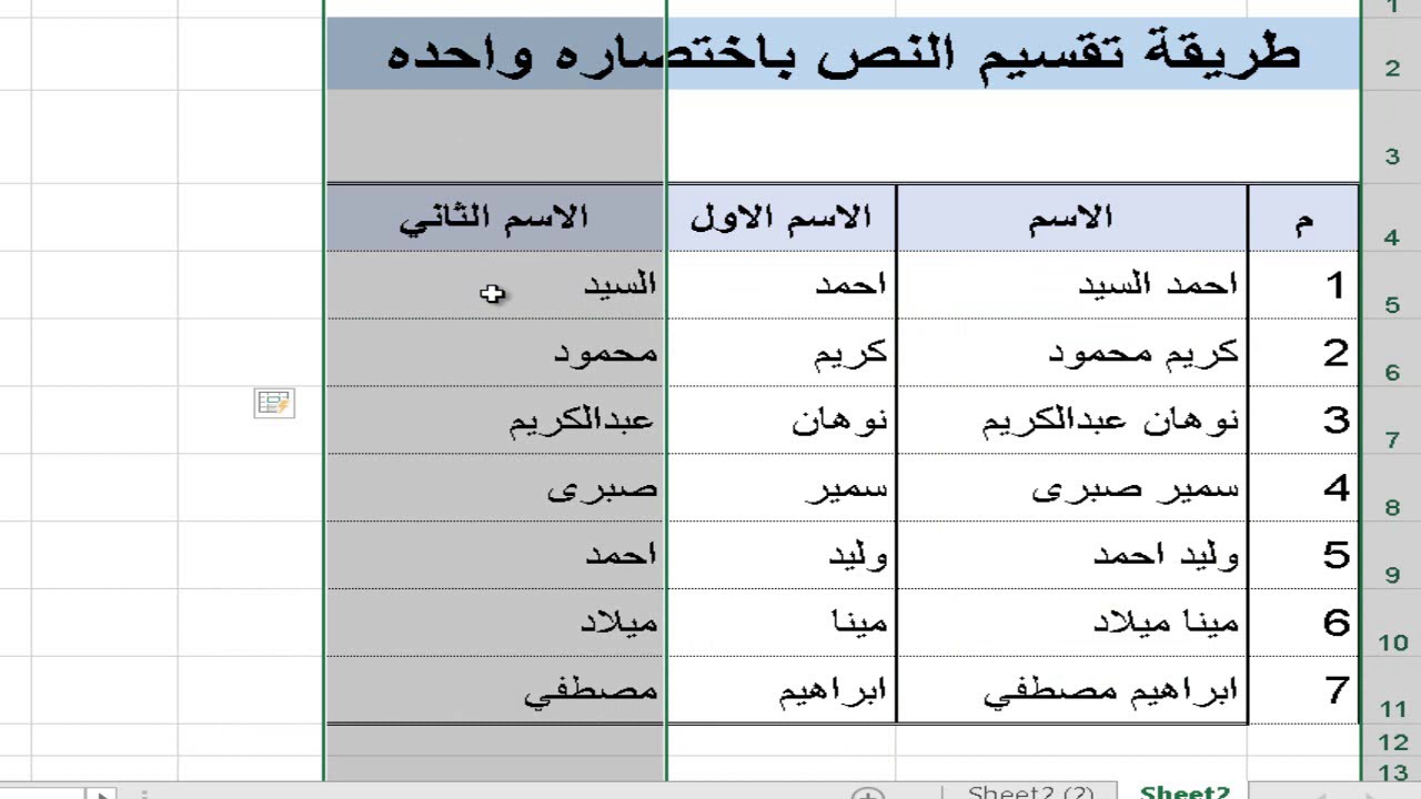 طريقة تقسيم النص باختصاره واحده فى اكسل|طريقة تقسيم الاسماء | فصل النصوص|Text to Columns