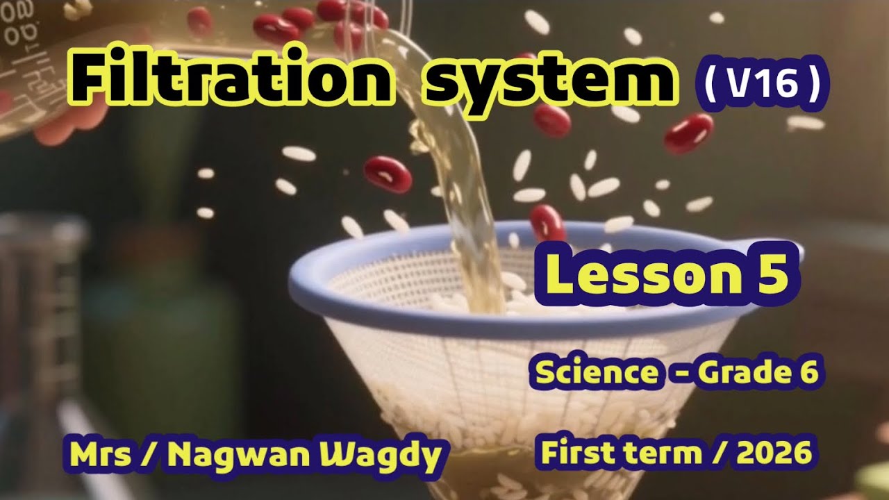 lesson 5 , filteration system , unit 1 , concept  2 , ساينس الصف السادس
