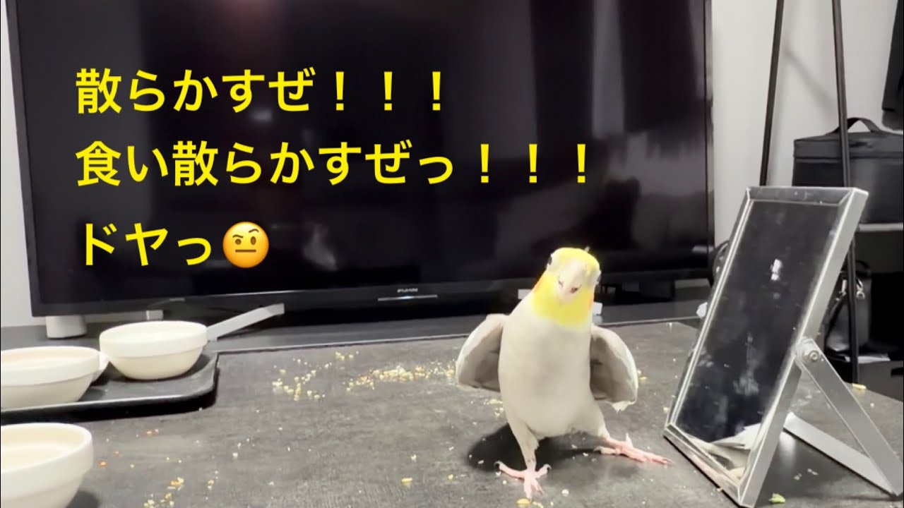2025.12.17 食い散らかしてこんにちは♪♪