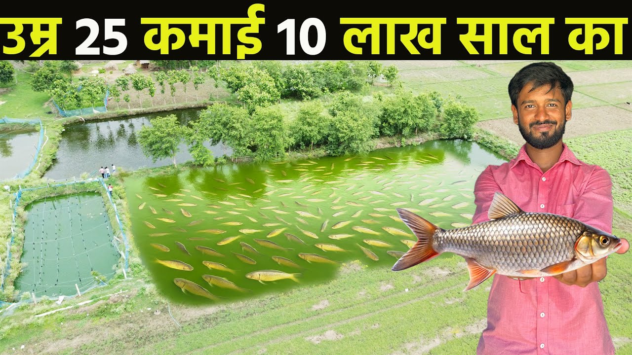 Machli palan business kaise kare॥Fish farming॥fish farming business
