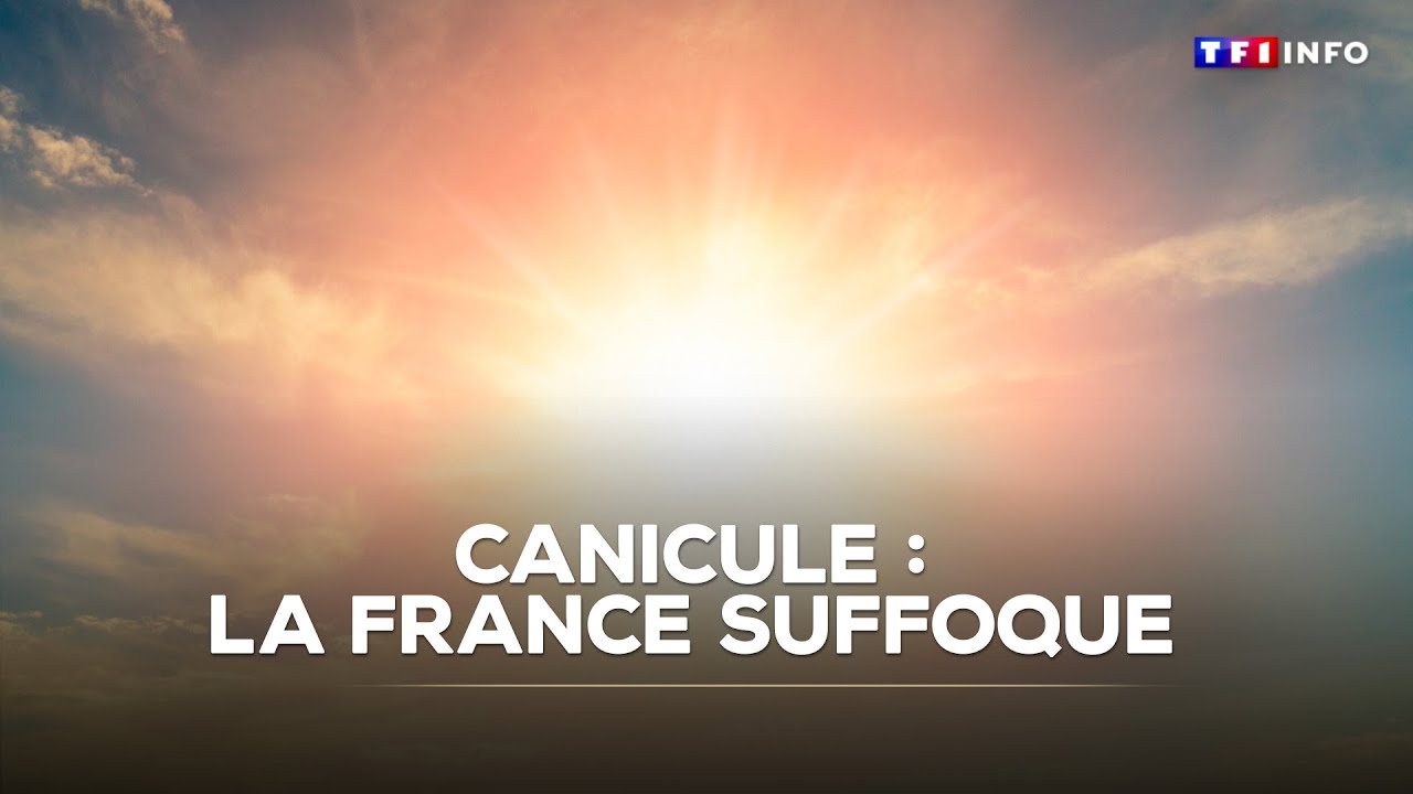 Canicule : la France suffoque｜TF1 INFO