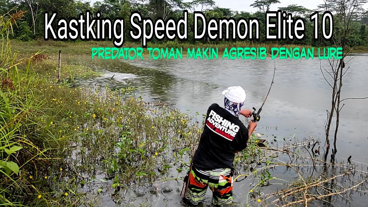 Kastking Speed Demon Elite 10,5:1||Predator Toman makin Agresib Dengan Lure