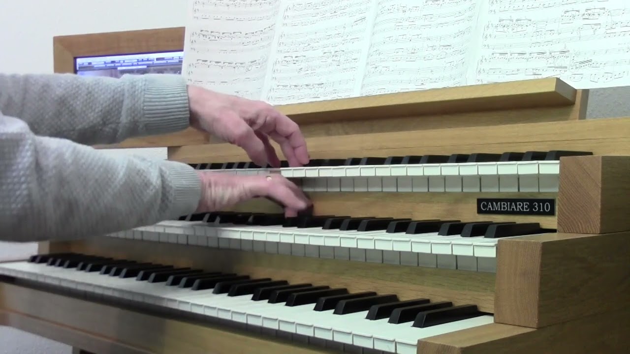 Leo Terlouw speelt Erbarme dich, mein Gott uit de Matthäus-Passion BWV 244 van J S  Bach