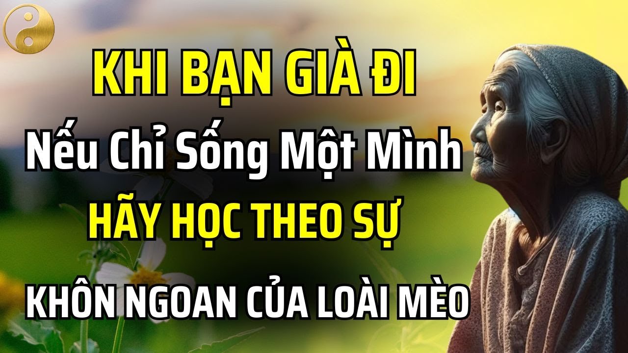 KHI BẠN GIÀ ĐI VÀ SỐNG MỘT MÌNH, HÃY HỌC THEO TRÍ TUỆ CỦA LOÀI MÈO ĐỂ SỐNG THẤU SUỐT HƠN