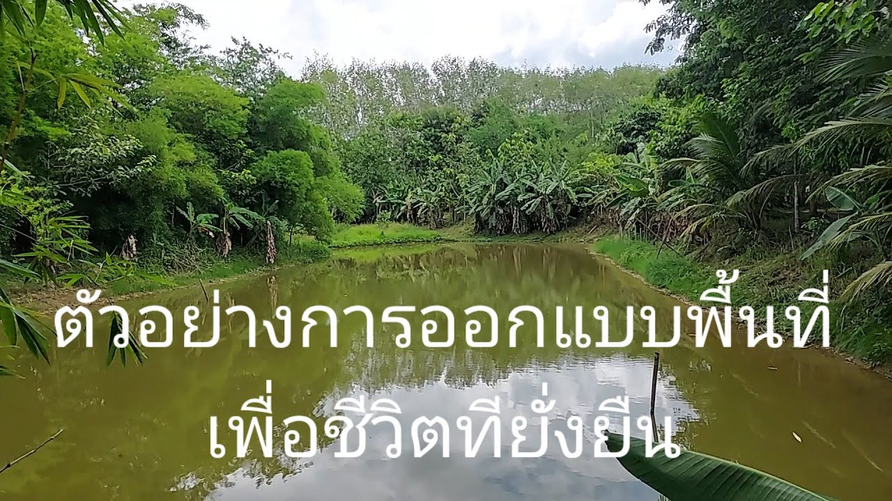 ตัวอย่างการออกแบบพื้นที่เพื่อชีวิตที่ยั่งยืน ที่กระบี่