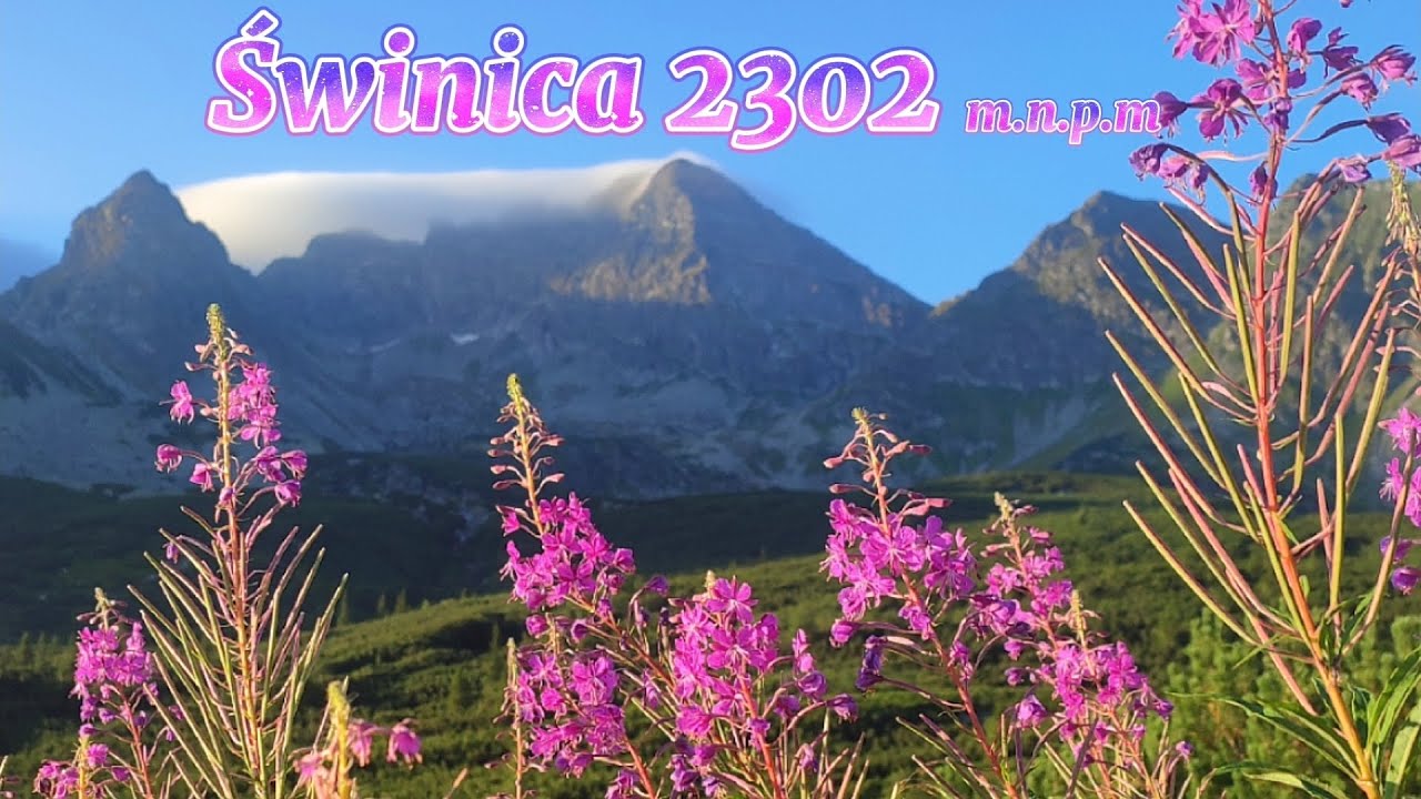 Tatry Wysokie: Świnica od Świnickiej Przełęczy