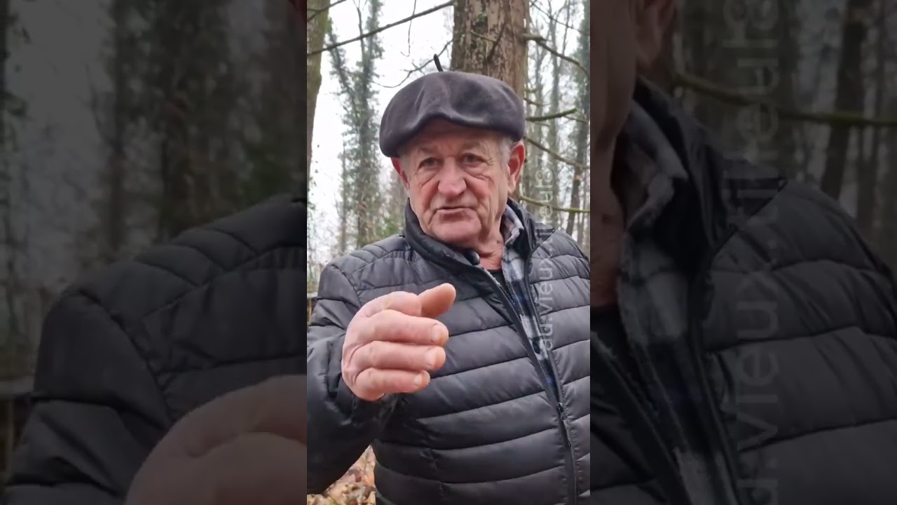 Jean Louis et le bois de chauffage