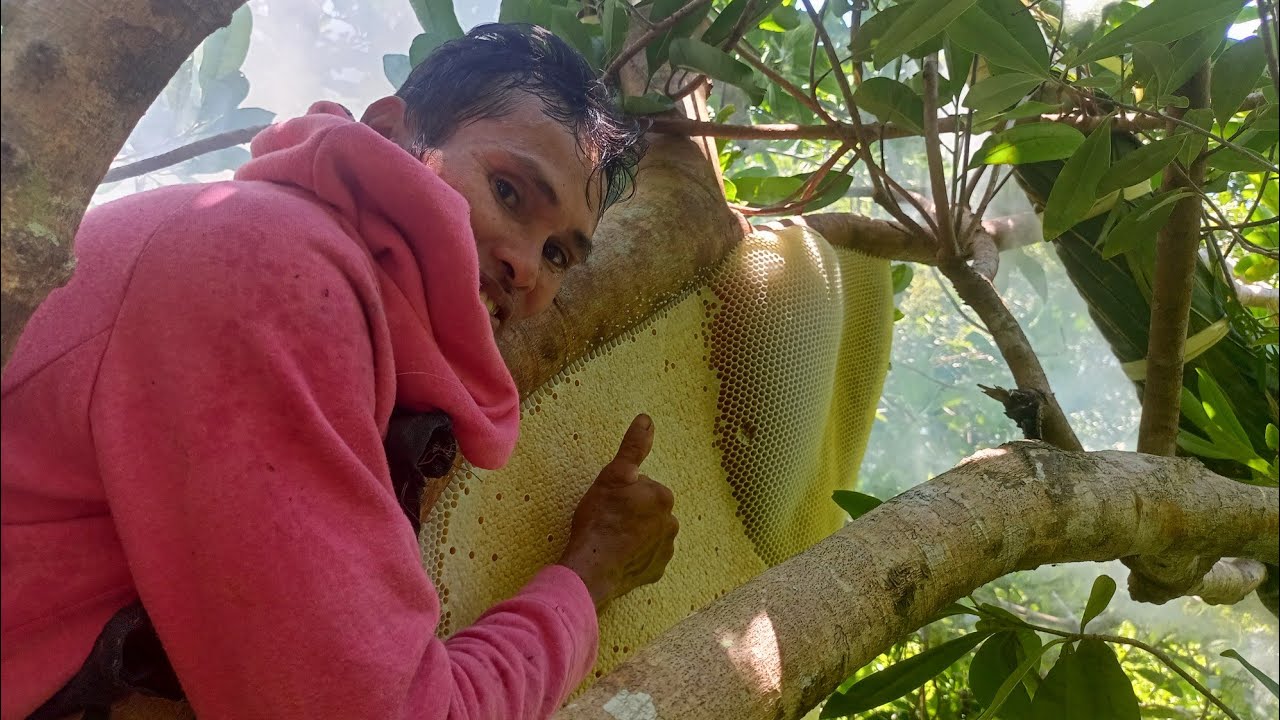 Naka Jackpot kami daming honey o dugos