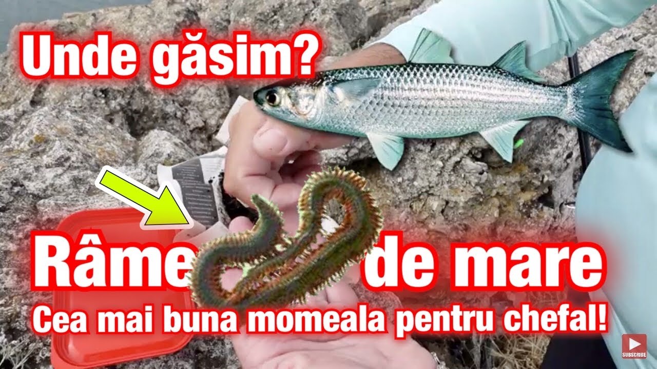 Unde gasim 