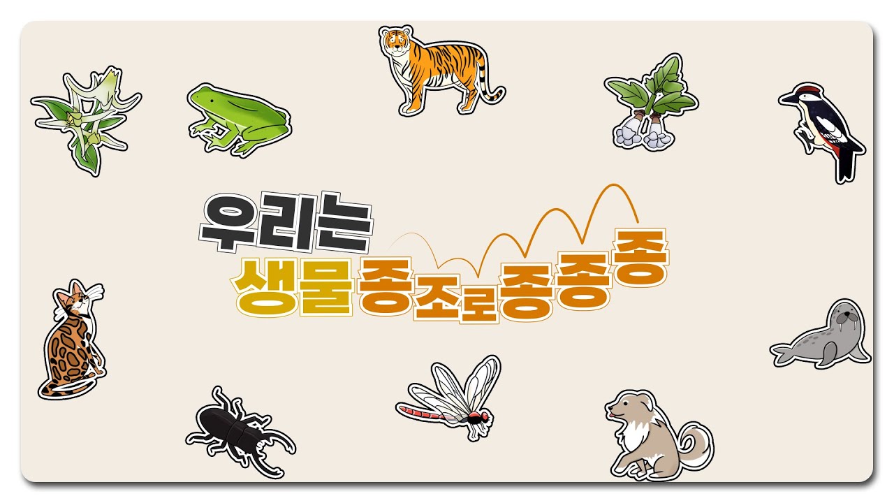 [생물다양성 교육] 우리는 생물종조로종종종