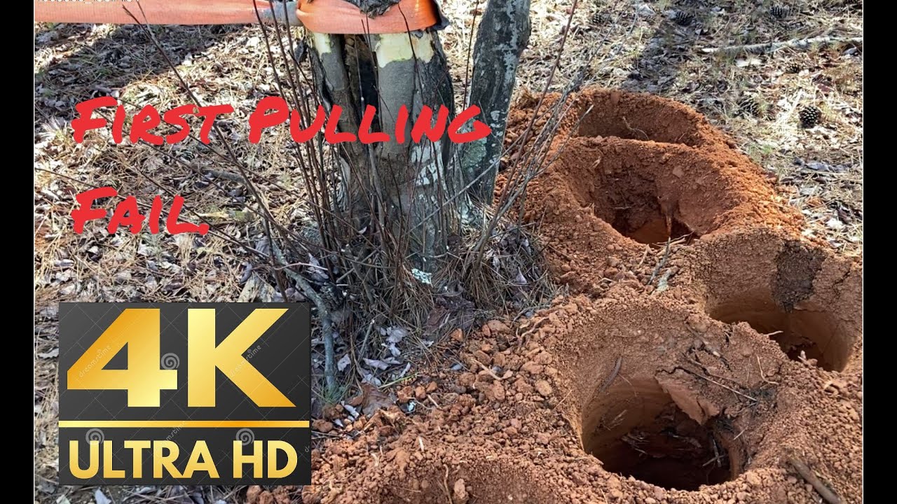 #12 Stump/Tree Pulling FAIL with snatch block pulleys 5:1 Mechanical Advantage [4K 60FPS]