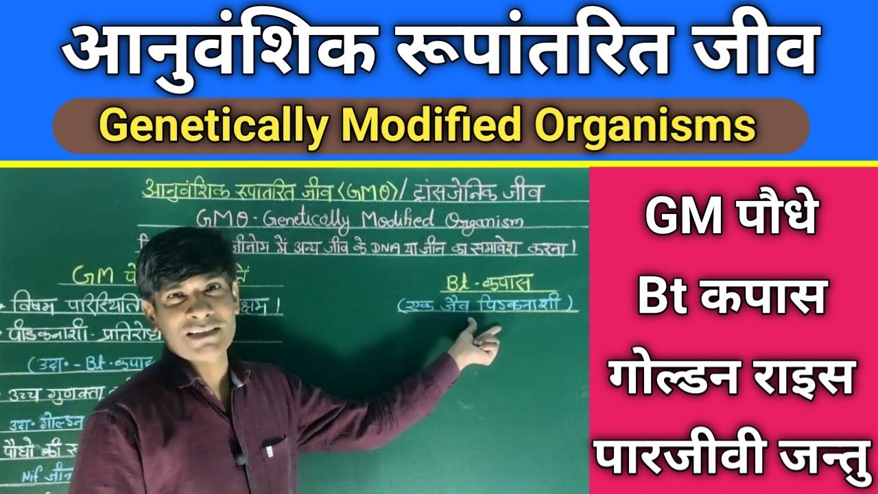 GMO . आनुवांशिक रूपांतरित जीव। GM पौधे । BT कपास। पारजीवी जन्तु। ट्रान्सजेनिक जीव।