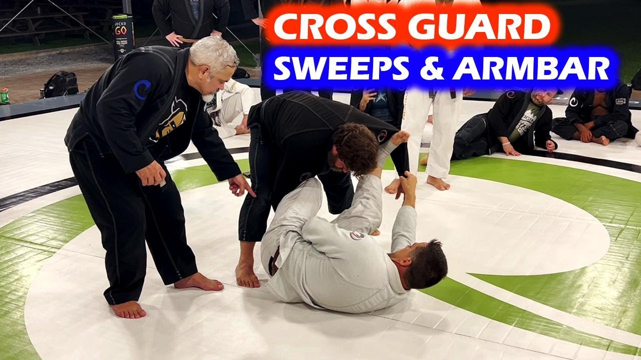 Cross Guard to Spider Sweep, Reverse Elevator Sweep, & Armbar | Ricardo Liborio with Andy Stumpf