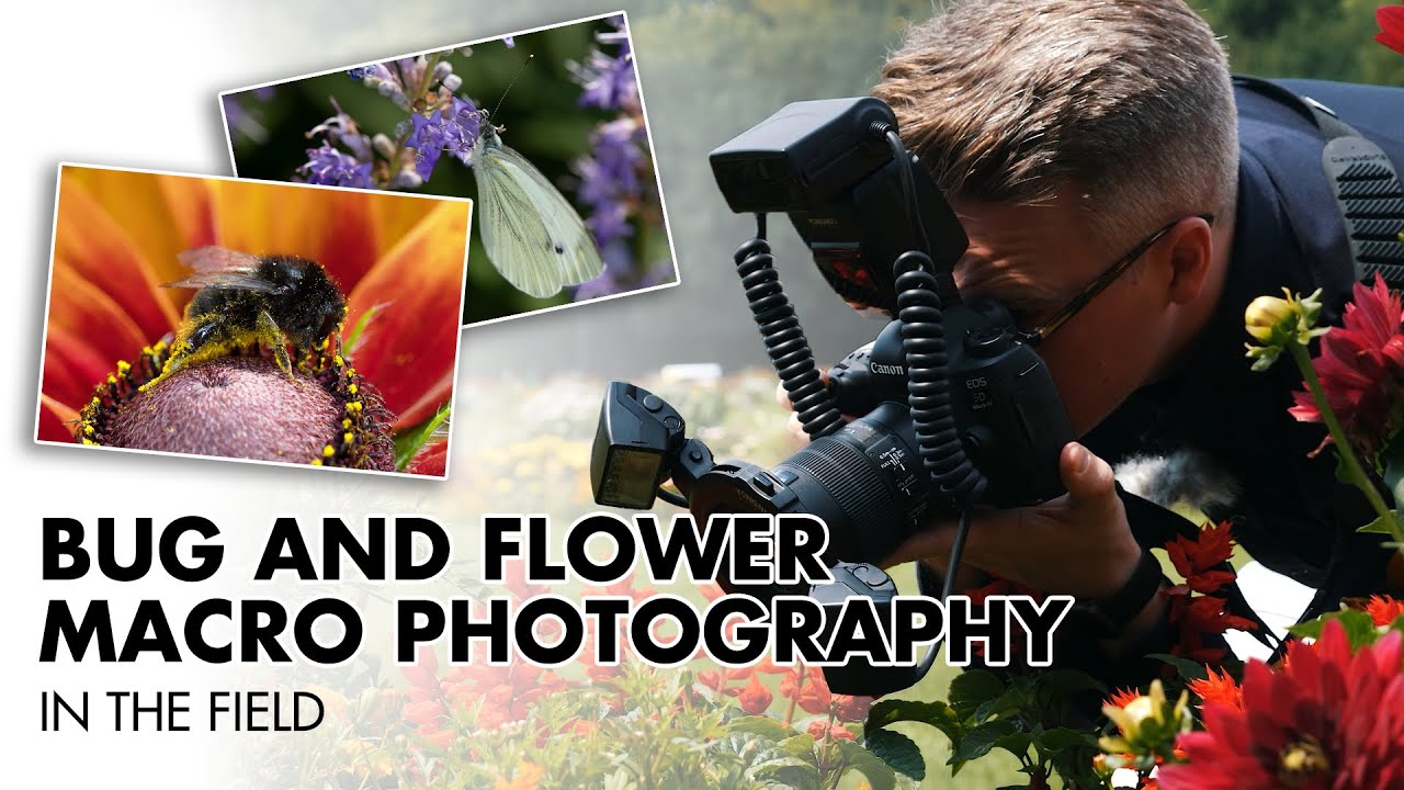 Flower and Bug Macro Photography In The Field | Macro Photography