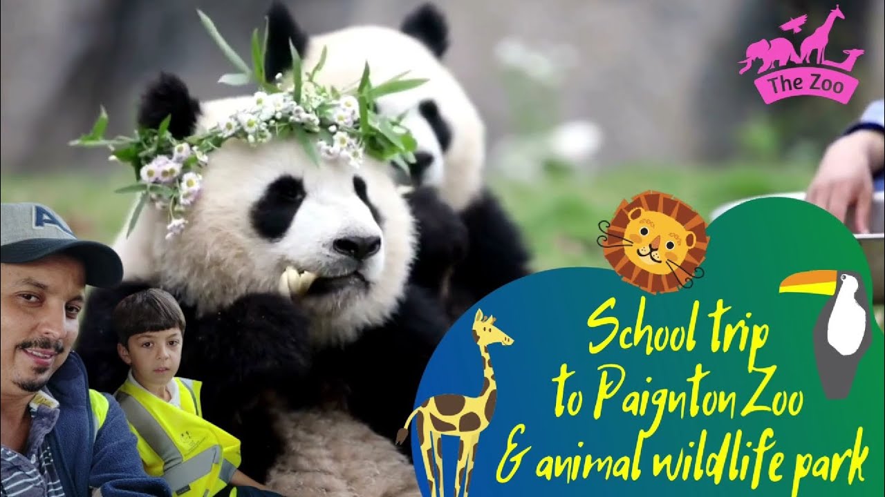 School trip to Paignton ZOO & animal wildlife park