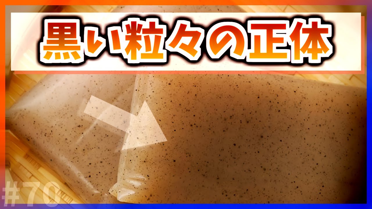 【ゆっくり解説】こんにゃくの黒い粒々の正体【今日の豆知識】