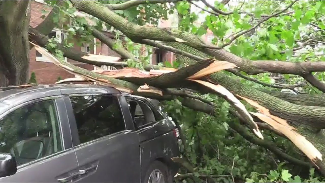 Severe storms down trees, damage homes on Northwest Side