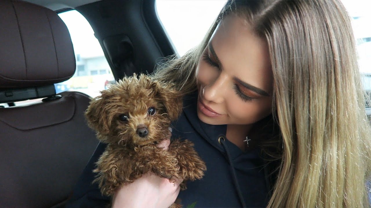 Meet my New Puppy, Lola!
