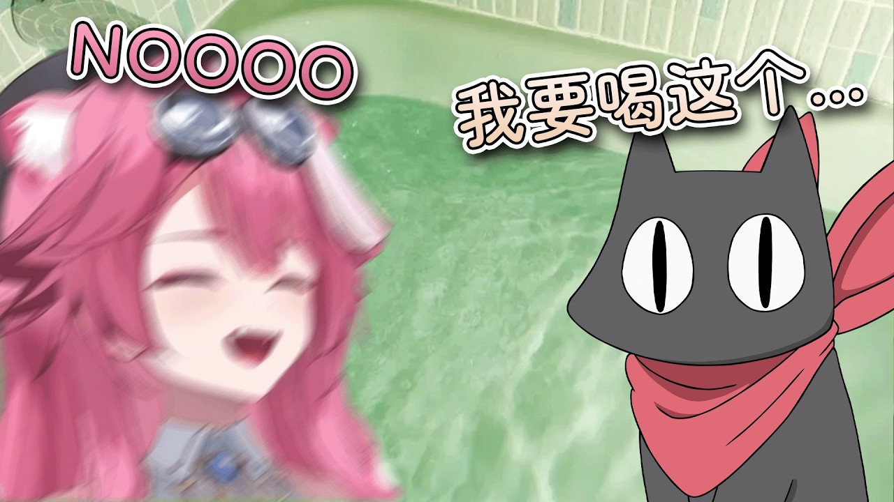 关于我转生成猫偷喝raora洗澡水这件事【熟 Raora Panthera】
