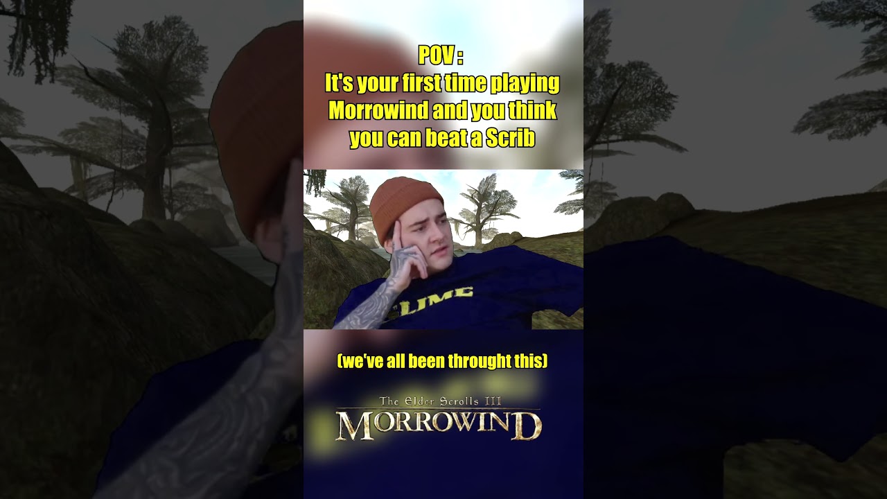 Morrowind: Funny & Accurate pt 72