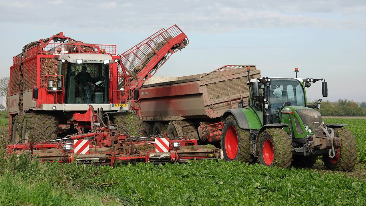 XXL Beet Harvest | 12 row beet harvester | Agrifac Hexa 12 row | Fendt 728 + 2x Fendt 724 | Paridaen