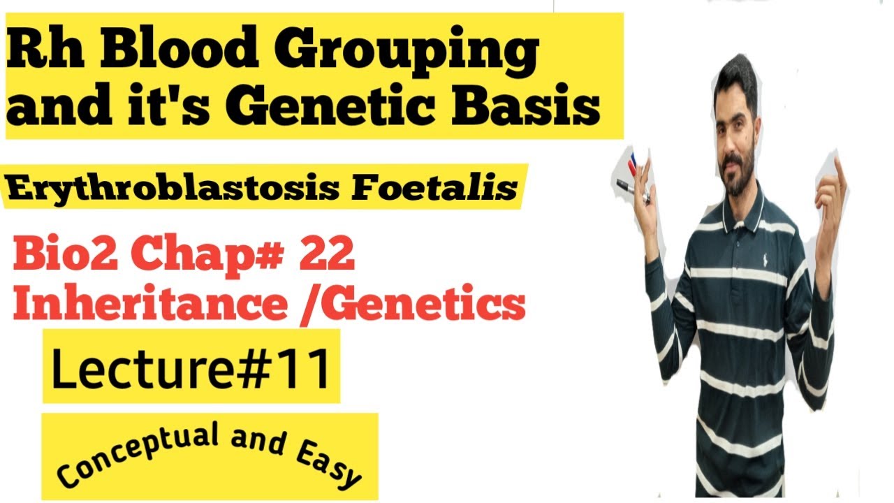 L-12 Rh Blood grouping its genetic basis and Erythroblastosis foetalis  Urdu Hindi by Dr Hadi