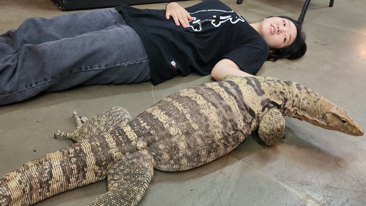 믿기지않겠지만 한국입니다ㅋㅋㅋ 동네 산책까지 다닌다는데 대박이네요!!