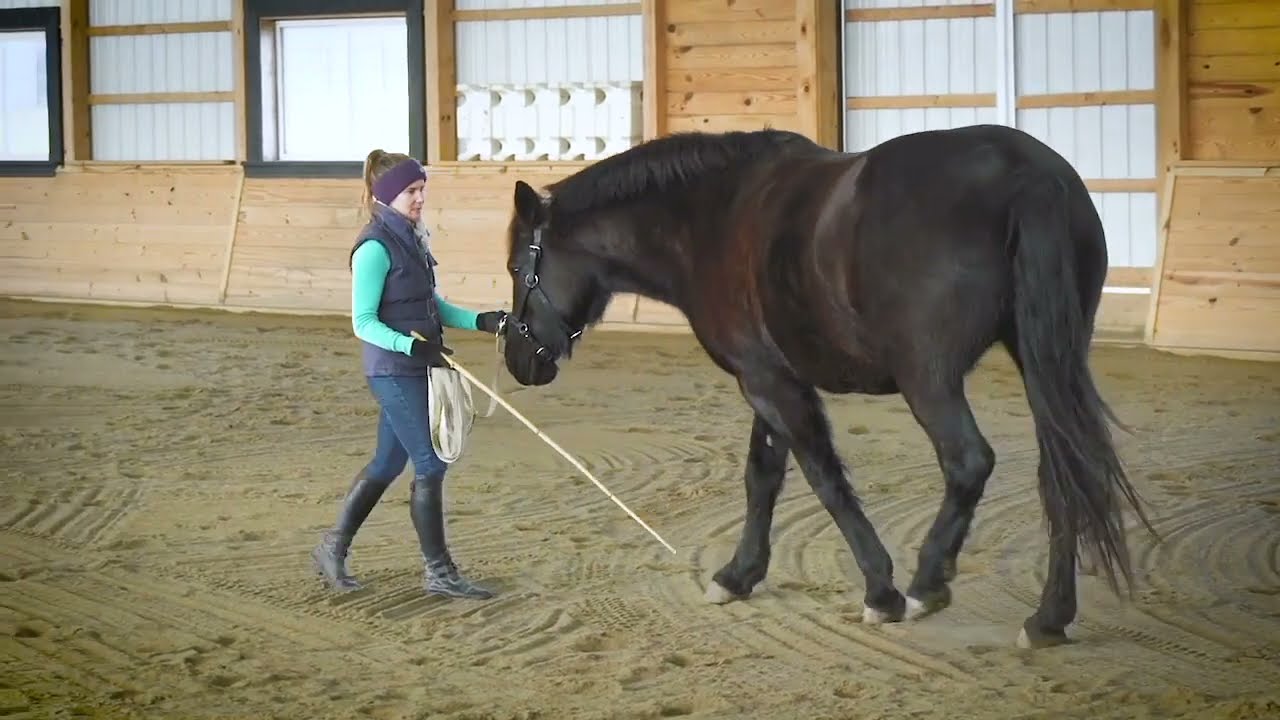 How to Change Directions While Lunging