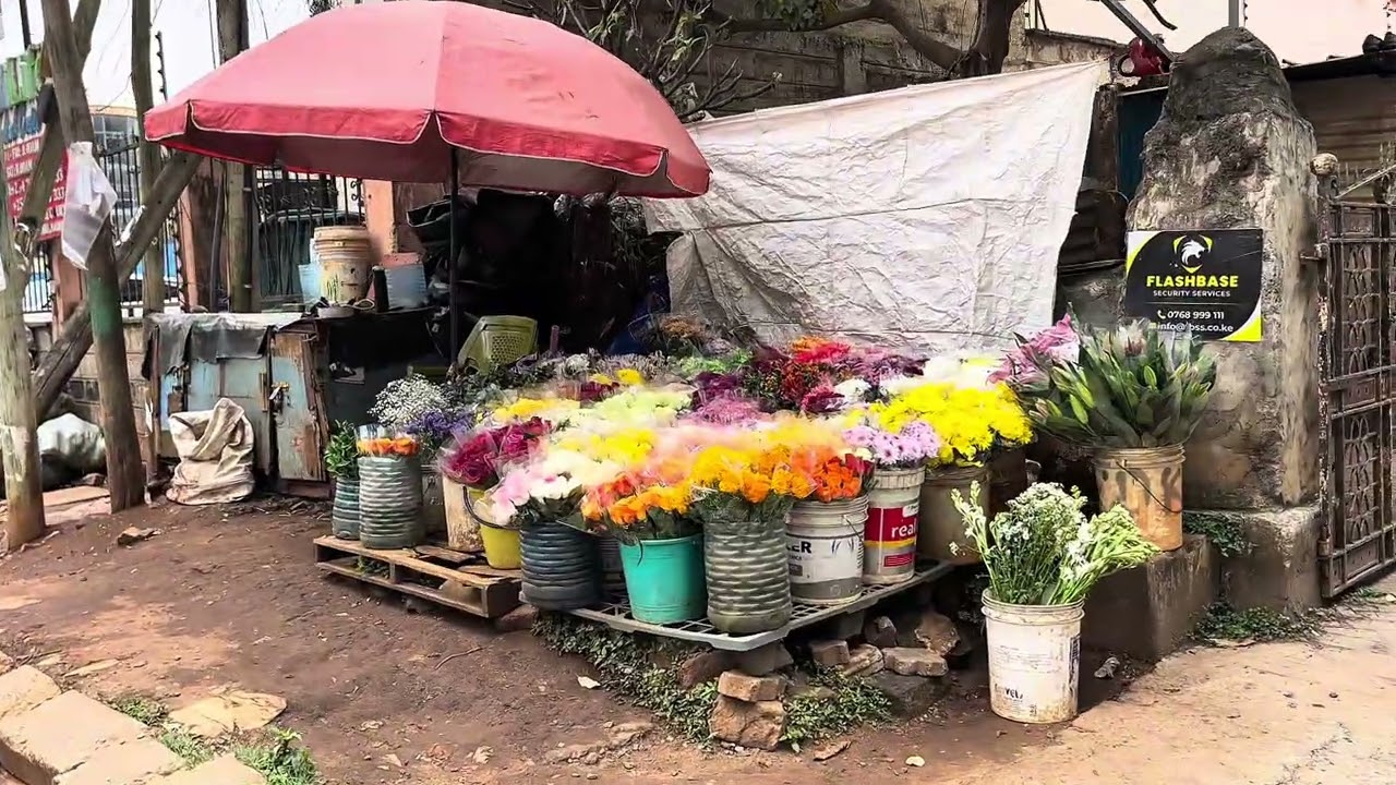 الحمدلله على سلامتكم 😍نورتوا كينيا😍🇰🇪🇾🇪