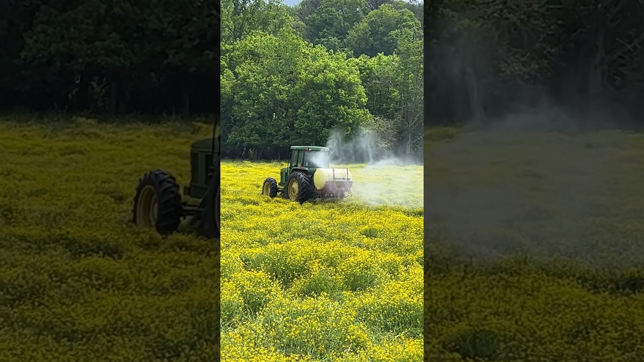The Weeds Are Out Of Control! #shorts #sprayingweeds #spring