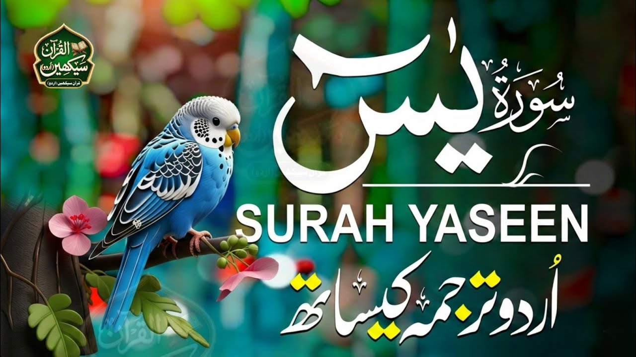 Surah Yaseen | Quran Recitation with Urdu Tarjuma | Calm & Relaxing Tilawat