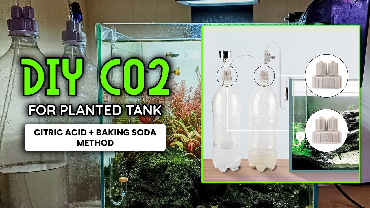 DIY CO2 System for Planted Aquarium | Citric Acid and Baking Soda Method