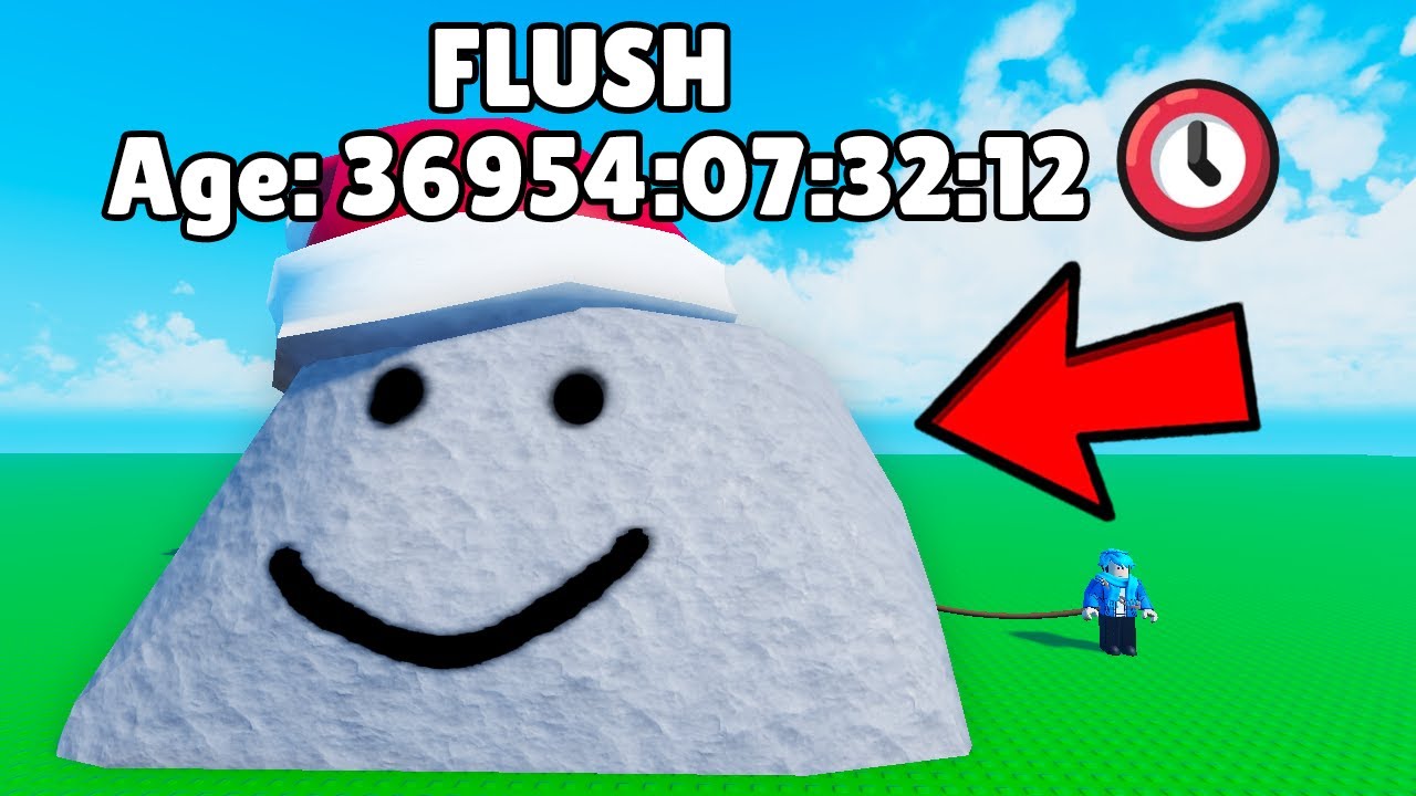 Using ADMIN in MY PET ROCK...