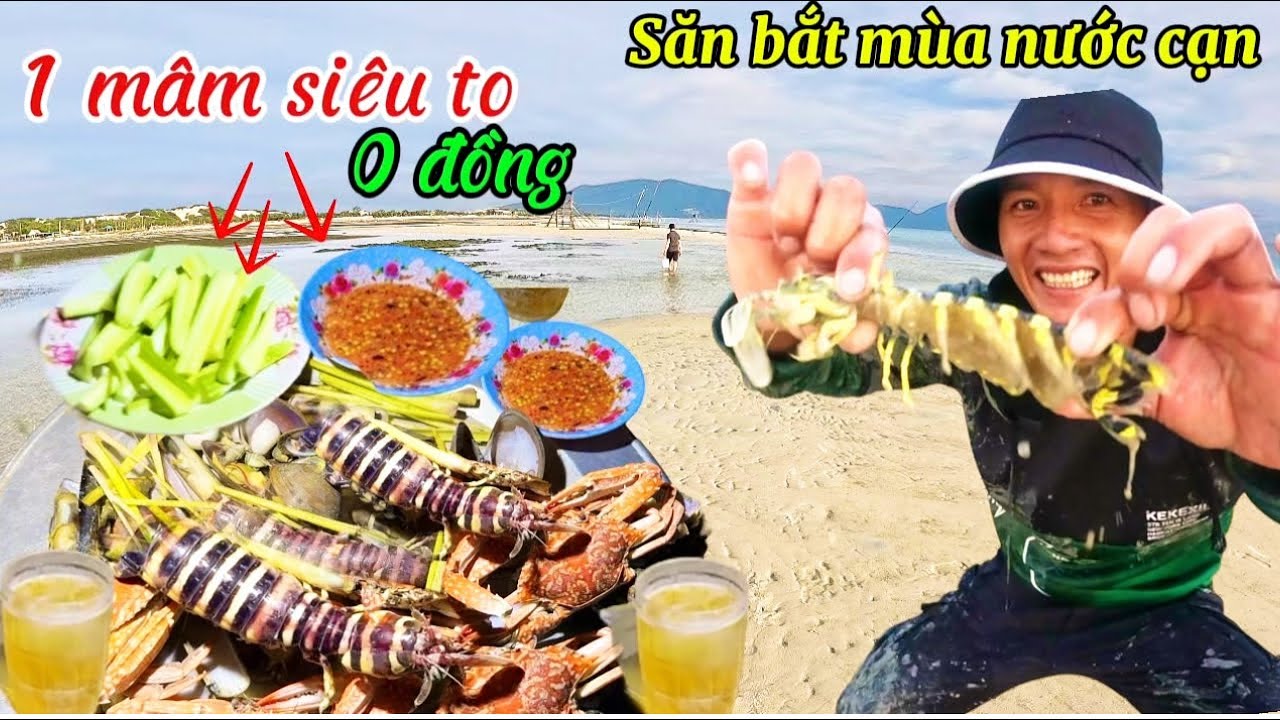 Bắt hải sản ven biển gặp toàn hàng hiếm tôm tít vàng ghẹ xanh một mâm siêu to| khám phá biển tv