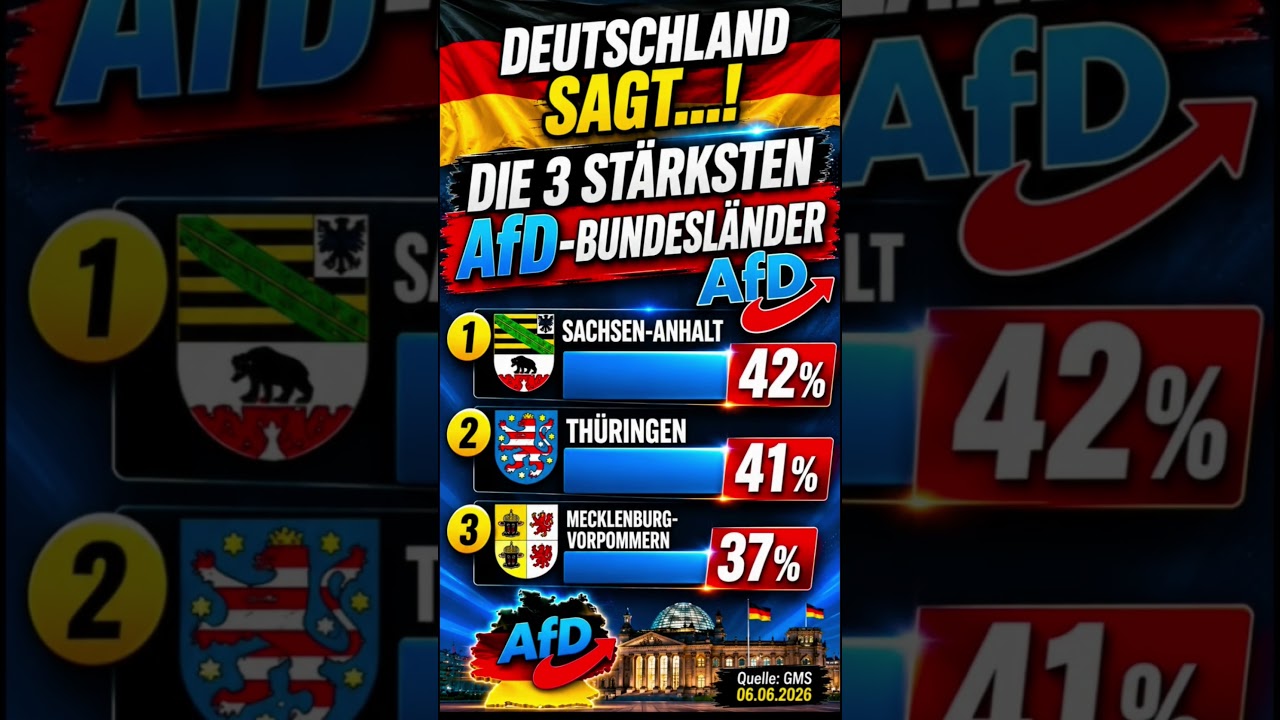 Die 3 st&auml;rksten AfD-Bundesl&auml;nder! &Uuml;berraschung auf Platz 3? #afd #deutschland