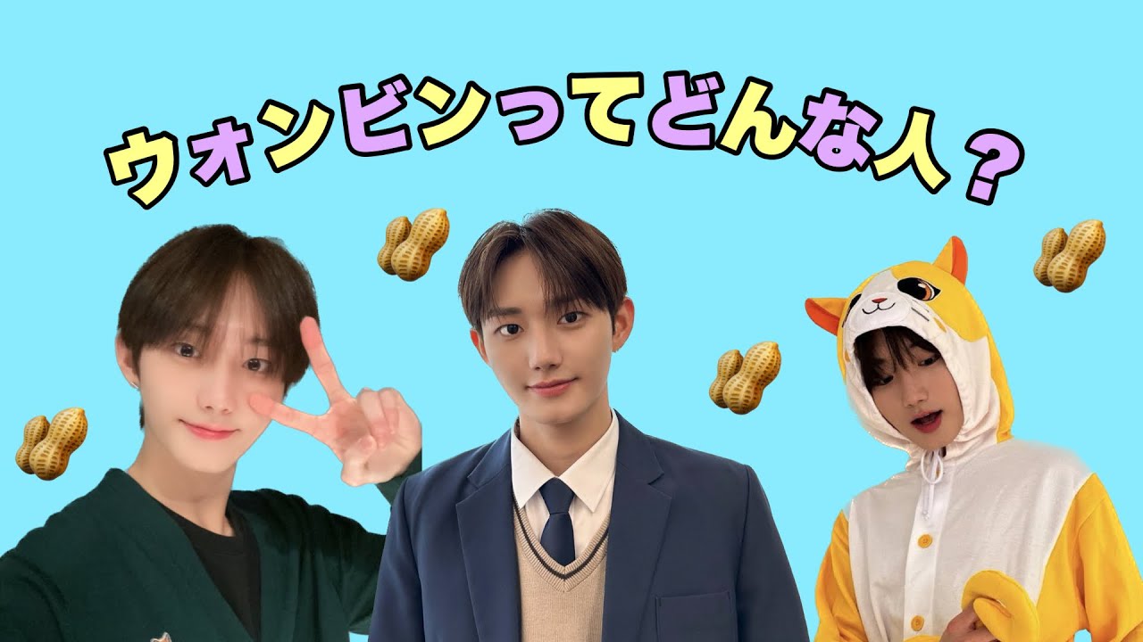 【ATBO】ウォンビンってどんな人？【日本語字幕】