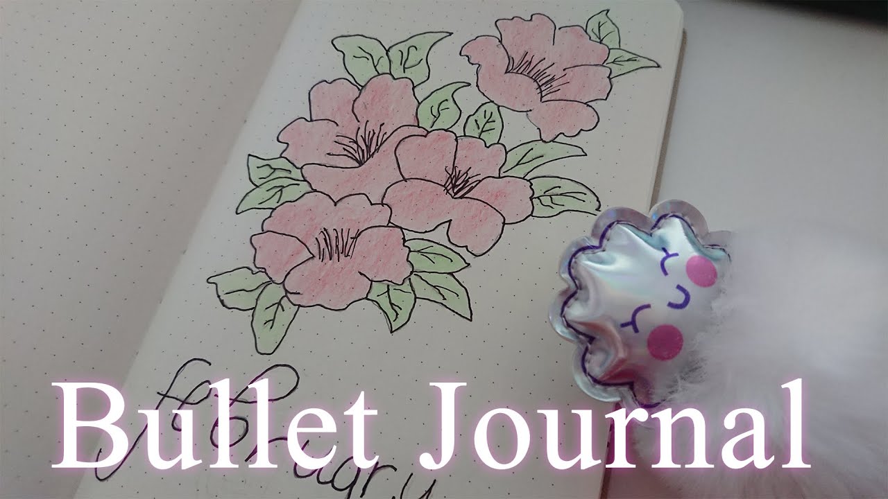 Şubat Bullet Journal Yapımı - February Bullet Journal