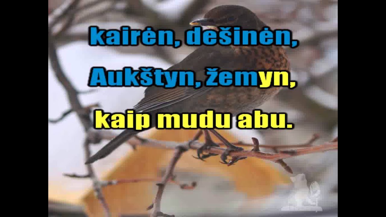 Atskrido paukštelis (karaoke)