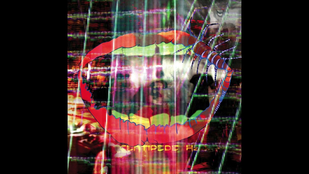 Animal Collective - Pulleys / Amanita [HQ]