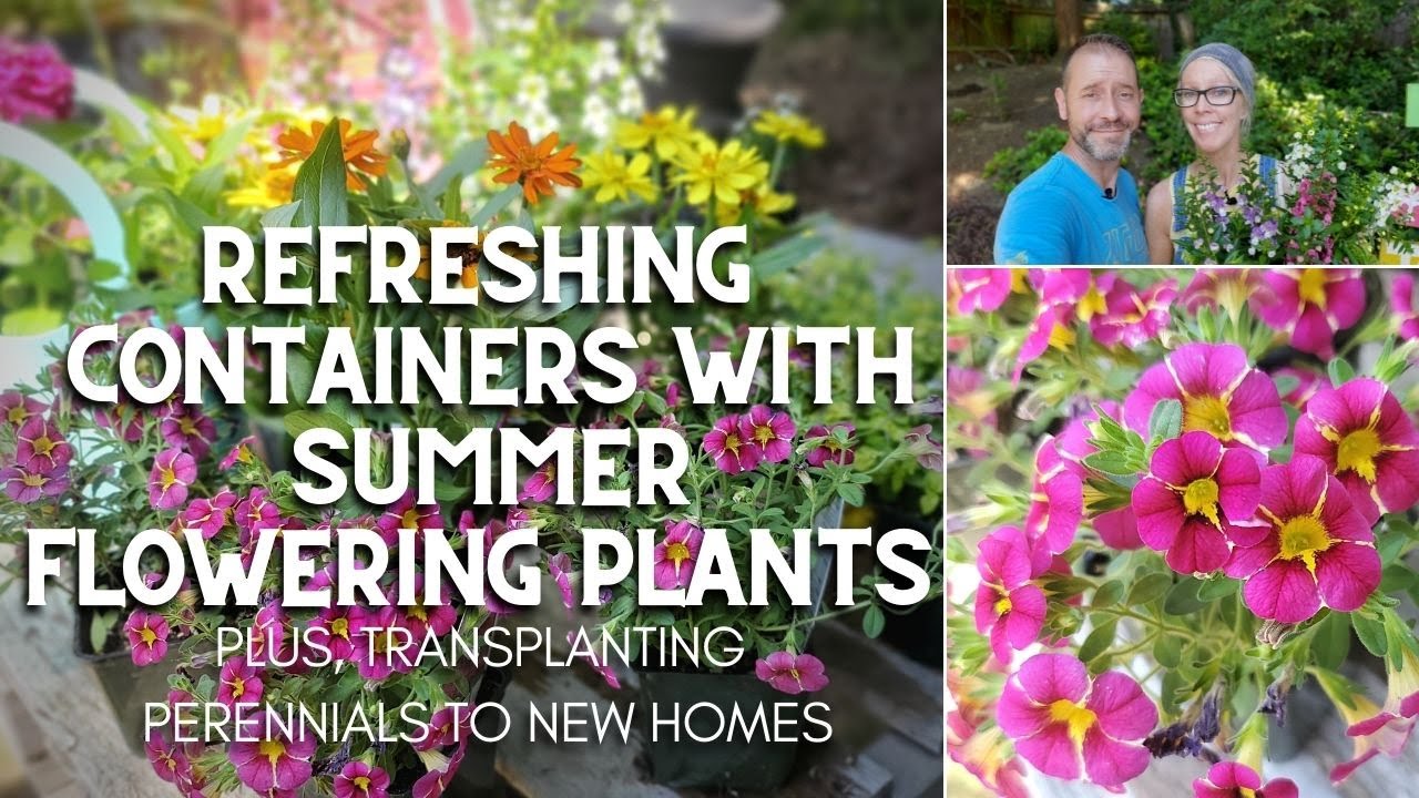 🌞 Refreshing Containers with Summer Flowering Plants for Pots 🌞