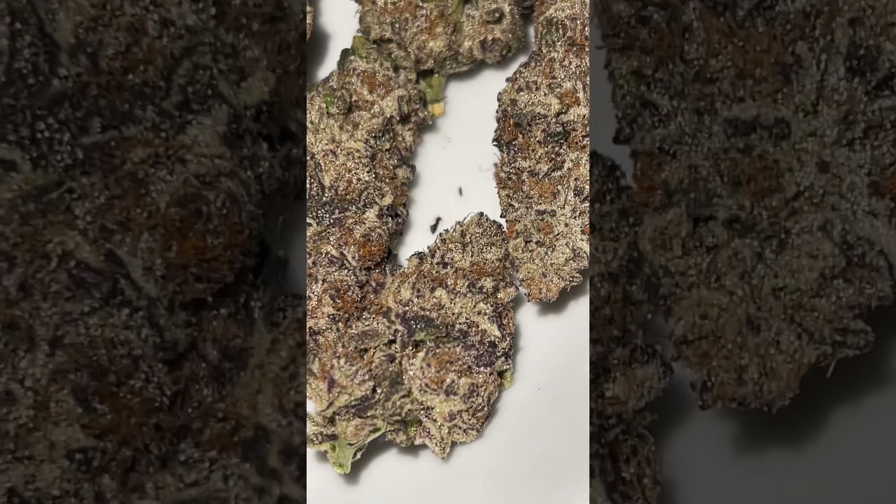 Orange kush cake that i grew