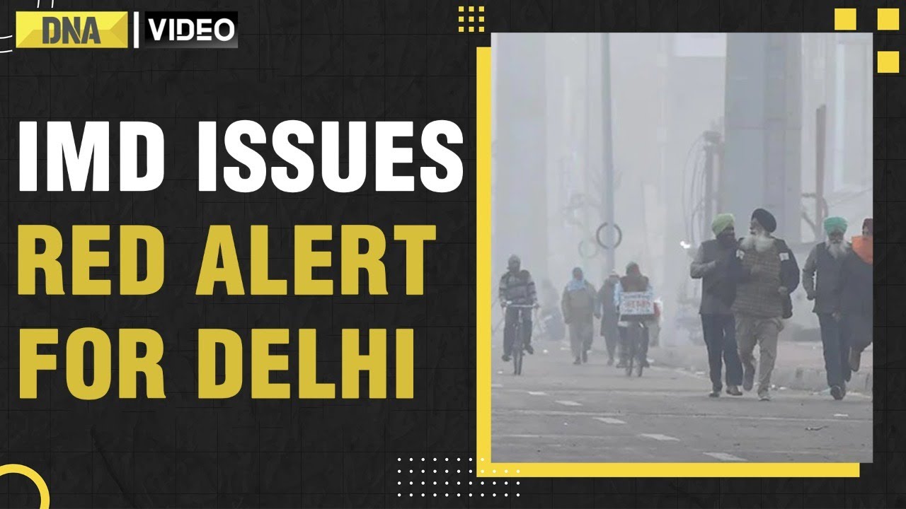 Cold Wave Weather Update: IMD issues RED ALERT for Delhi; Dense Fog engulfs North India | DNA India