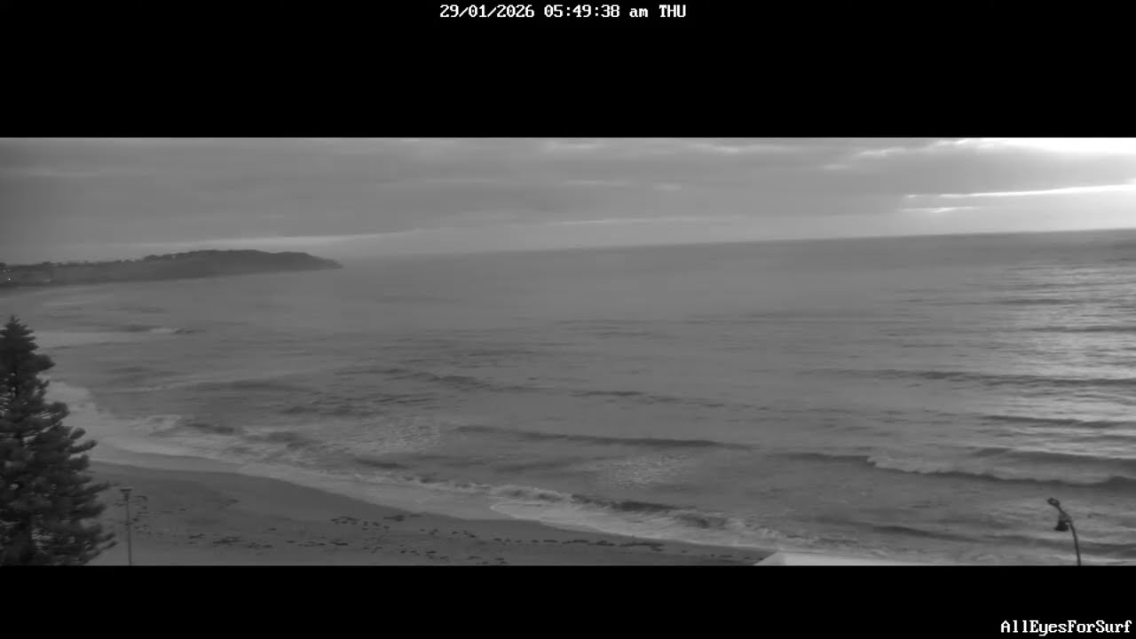 Dee Why Surf cam 29/01/26