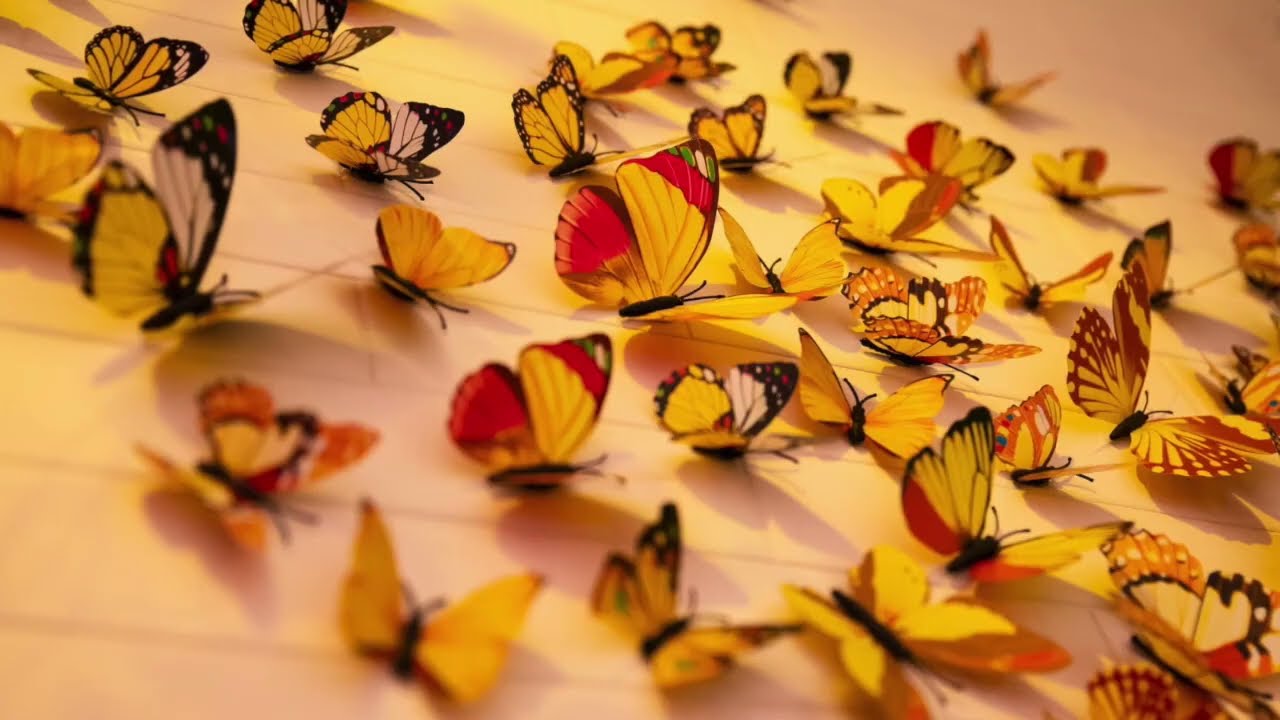 Mindful returning footsteps, self-discovery, mindfulness podcast, healing, slow living