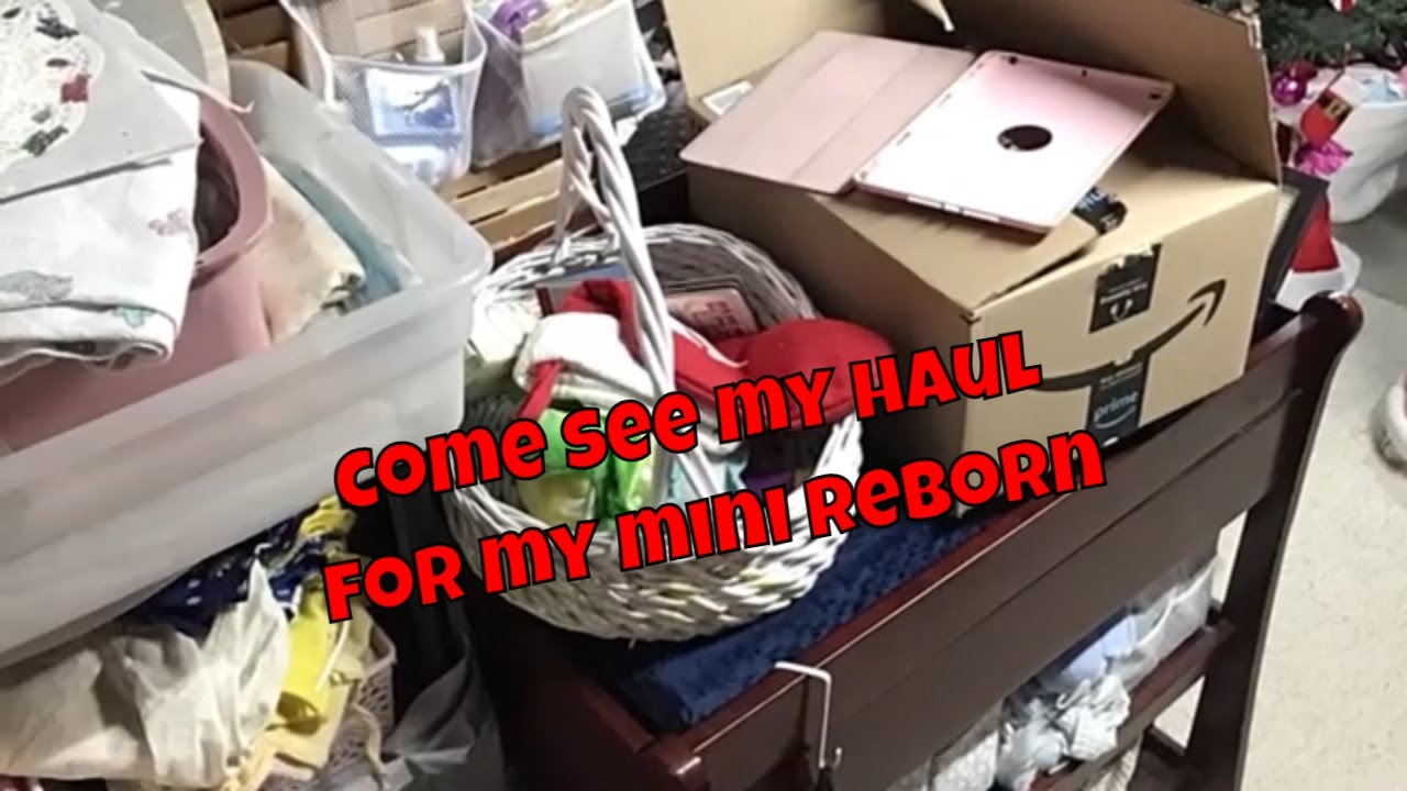 come see my haul for my mini reborn