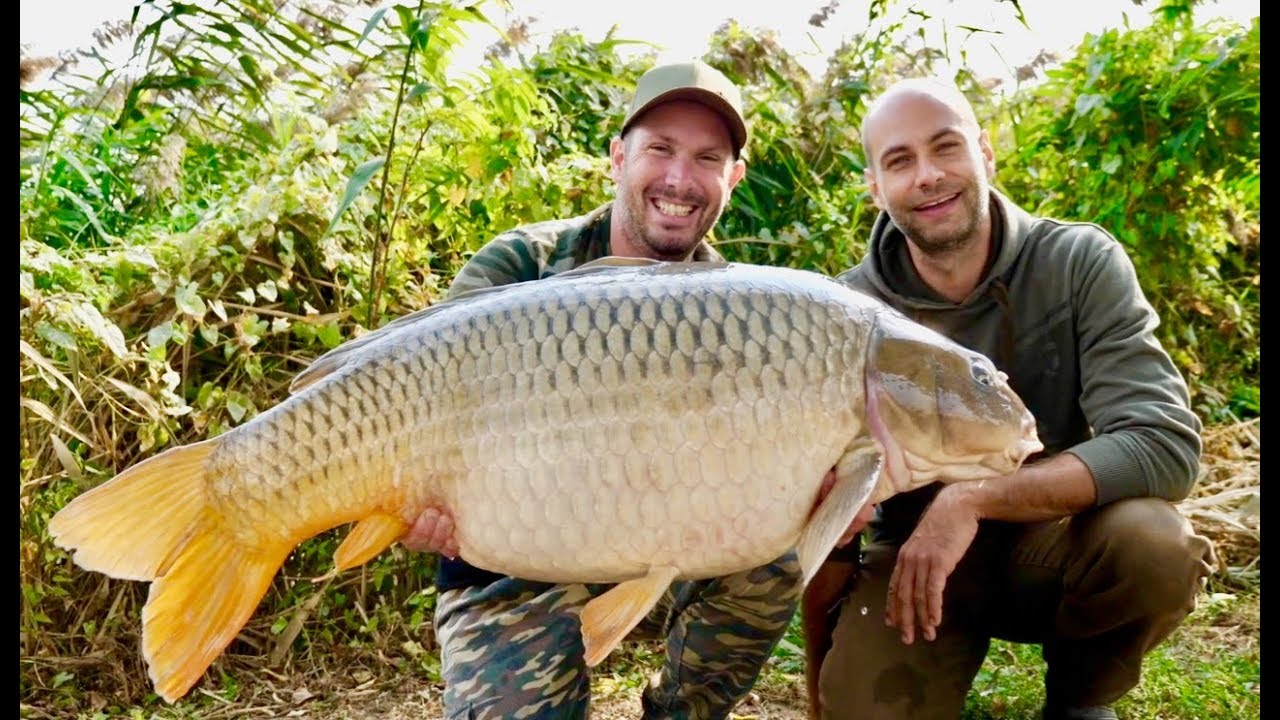 Big Fish Media - Catch Carp Hungary at Paradise Lake